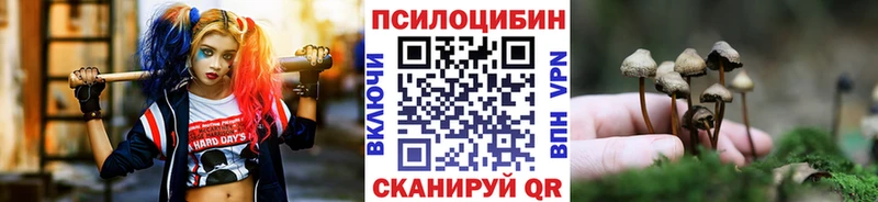 Галлюциногенные грибы Psilocybine cubensis  как найти закладки  Тайшет 