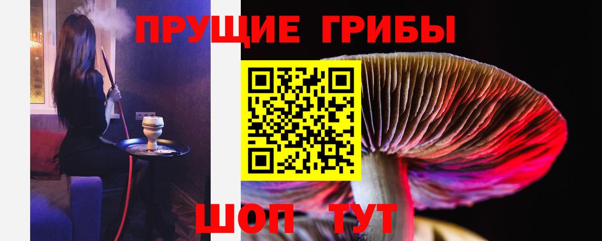 Псилоцибиновые грибы Psilocybe  Вход с VPN  Тайшет  Галлюциногенные грибы мухоморы 