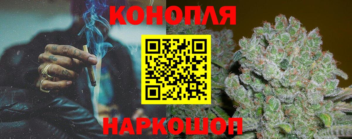 Бошки марихуана OG Kush Тайшет